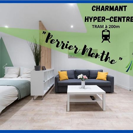 克莱蒙费朗※Perrier Menthe※ Hyper-Centre Et Tranquillite公寓 外观 照片